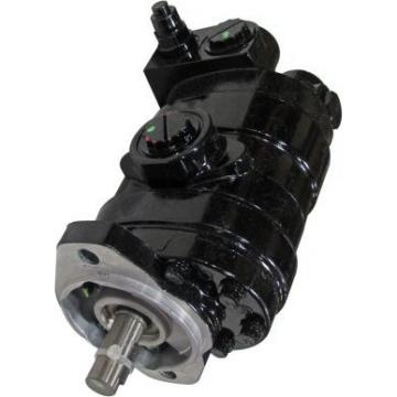 Gleaner A76 Reman Hydraulic Final Drive Motor