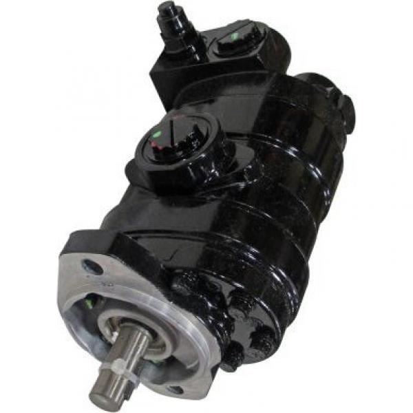 Gleaner A65 Reman Hydraulic Final Drive Motor #1 image