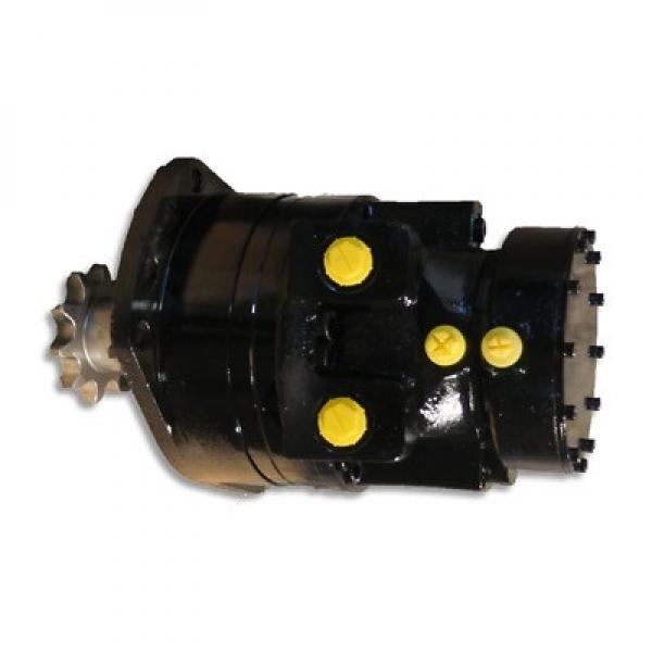 Gleaner A85 Reman Hydraulic Final Drive Motor #1 image